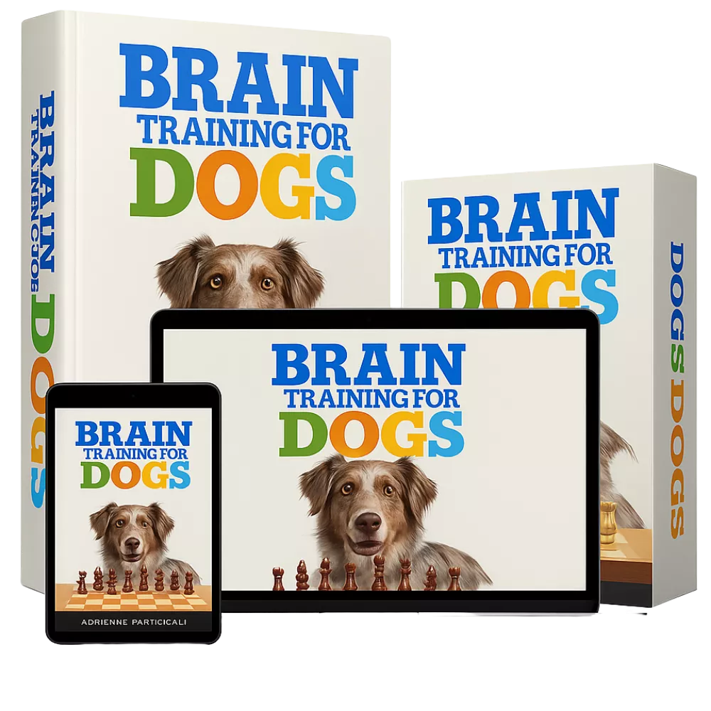 Brain Training for Dogs™ – Unlock Your Dog’s True Potential