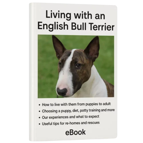 The English Bull Terrier Companion Guide