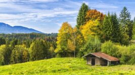 How Do You Build a Rainproof Shelter in the Wilderness?